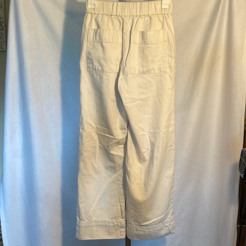 102 (Everlane Pants) - Picture 7 of 13